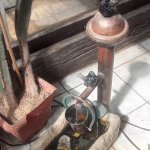 phoca_thumb_m_tropic zajici 41 Fotogalerie